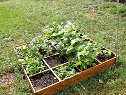 Salah satunya adalah menekan pengeluaran untuk membeli beragam sayur dan keperluan dapur lainnya yang bisa ditanam di kebun rumah. 11 Inspirasi Kebun Sayur Kreatif Yang Bisa Kamu Coba