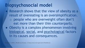 Philosophically, it is a way of understanding how suffering, disease, and illness are affected by multiple levels of organization, from the societal to the molecular. The Biopsychosocial Model Of Obesity