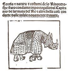 Dürer's rhinoceros is the name commonly given to a woodcut executed by german painter and printmaker albrecht dürer in 1515. Rhinocerus Wikipedia