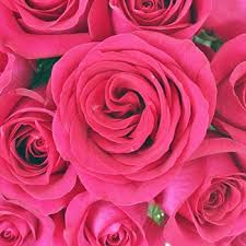 All natural & additive free. Pin On November 2017 Wedding Flowers