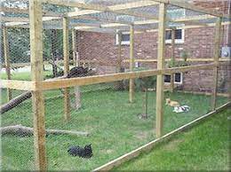 Catio is where indoor cats can hang out outside of their houses or apartments in an outdoor enclosure that safely keeps them in and predators out. Free Outdoor Cat Enclosure Plans Cats Cats Can Roam The Great Outdoors In This Spacious Enclosure Descript Outdoor Cats Outdoor Cat Enclosure Cat Enclosure