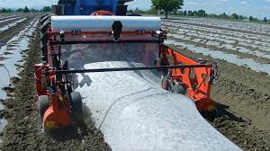 Maybe you would like to learn more about one of these? Equipment For Horticulture Made In Italy Focus Cosmeco S R L