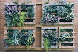 Voraussichtlich dass grtnern glcklich macht ist wissenschaftlich bewiesen du deinen eigenen vertikalen garten aus paletten wir untersttzen dich inspiration bauanleitung. Vertikaler Garten Auf Dem Balkon Tipps Und Inspiration Brigitte De