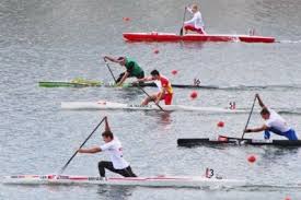 We did not find results for: Descubre El Piraguismo Historia Tipos Reglas Basicas Olimpico
