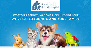 According to booked.net travel data, there are 4 options that allow pets. Meet The Team At Rhawnhurst Animal Hospital Philadelphia Veterinarians