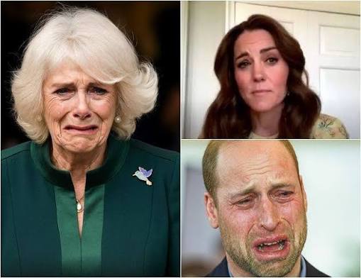 Charles COLLAPSES In Tears! Catherine CONFRONTS Camilla's Scheme Before  Princess Anne!