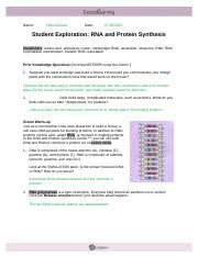 Student exploration building dna gizmo answer key pdf + my pdf collection 2021. Apply Suppose A Template Strand Of Dna Had The Following Sequence T A C G G A T Course Hero