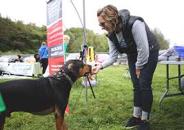 Hiring here at all pets vet clinic we are looking for some new staff! Bright Eyes Bushy Tails Veterinary Hospital Iowa City Veterinarians