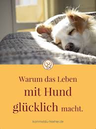 Endlichkeit Ein Glucksrezept Hunde Malteser Hund Hunde Und Kinder