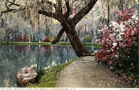 Pin On Random Loveliness