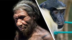 Identifying species by appearance