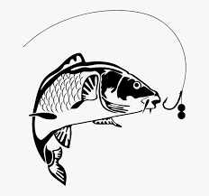 Over 220 categories of clipart. Koi Carp Fishing Carp Fishing Clipart Hd Png Download Transparent Png Image Pngitem