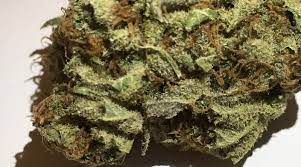 Genetics come from a cross between forum cut cookies, cinderella 99, and an og kush with chem . Strain Review Cream D Mint Cookies Cream X Mint Chocolate Chip The Highest Critic