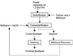 Biodiesel Production Flow Chart Based On The Experiments