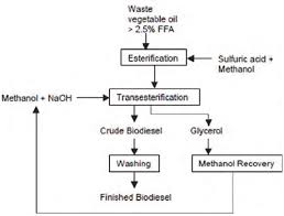 biodiesel production flow chart based on the experiments