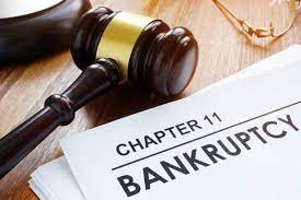 If the debtor is filing the petition, they must include the required financial statements, fees, list of debts and. Chapter 11 Cramdown Of Secured Debts Steiner Law Group