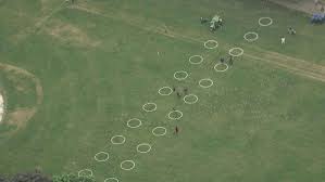 Find the perfect trinity bellwoods park stock photos and editorial news pictures from getty images. Physical Distancing Circles Returning To Trinity Bellwoods Park Cp24 Com