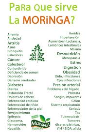 Moringa Para Que Sirve Logo Moringa Recetas Para La Salud Remedios Para La Salud