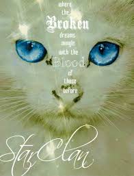 Character is whitedream, and yes, she is a starclan cat. 14 Cats Of Starclan Ideas Warrior Cats Warrior Cats