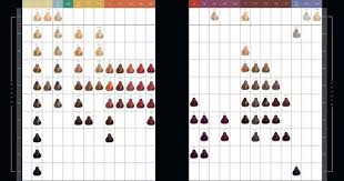 Kadus Professional Hair Color Chart Bahangit Co