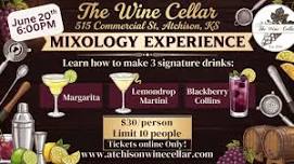 Mixology Experience