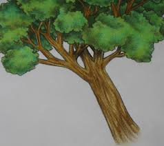 Baumstamm mit acryl malen : Mahhcrapposshits Baumstamm Mit Acryl Malen Acryl Malkurs Online Sonnenuntergang In Der Natur Malen Als Erstes Zeichnen Sie Grob Die Generelle Baumform Vor