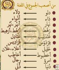 Nwwadir On Instagram السعودية العراق الأردن طبيعة متفاعل ستوري صورة فنانين باريس غرائب طبيعة خي Learn Arabic Alphabet Arabic Language Learn Arabic Language