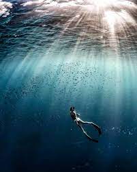 I Ll Calmly Flow Into Nothingness Into Allness Until I Become One With The Sea Romancing Life Bestfreed Life Is An Adventure Underwater Photos Nature
