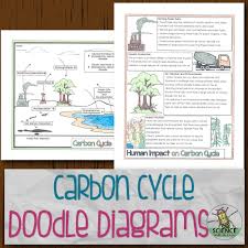 Disolved in co2 and calcium carbonates in shells and rocks. Carbon Cycle Doodle Diagrams Store Science And Math With Mrs Lau