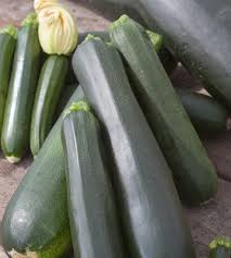 La courgette peut très bien être cultivée en pot si vous disposez d'un espace trop petit ou sans terre (balcon, terrasse). Courgette Conseils De Plantation Et De Culture Truffaut