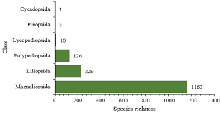 Image result for Chamaecrista zambesica