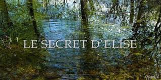 Un vieux journal intime appartenant à une petite fille. Le Secret D Elise Seriebox