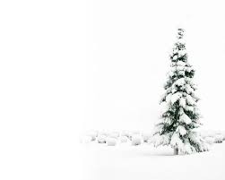 Some Christmas Wallpaper From Christmas Desktop Wallpaper Christmas Wallpaper Backgrounds Christmas Tree Wallpaper