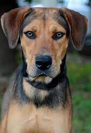 Will be at SAAP Station