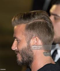 Harold Neider (haroldneider)