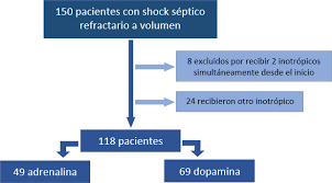 We did not find results for: Scielo Brasil Evolucion Clinica De Ninos Con Shock Septico Refractario A Fluidos Tratados Con Dopamina O Adrenalina Estudio Retrospectivo En Un Servicio De Emergencias Pediatrico De Argentina Evolucion Clinica De