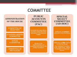 Legislative Executive Relations Ppt Download