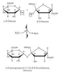 Sucrose Medical Science Chemistry Fun Facts