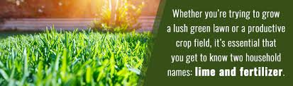 Applying lime on grass can help to improve the lawn. Can I Lime And Seed At The Same Time Baker Lime