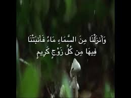 و أ نز ل ن ا م ن الس م اء م اء ف أ نب ت ن ا ف يه ا م ن ك ل ز و ج ك ر يم Youtube