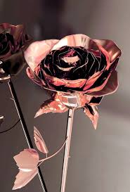 We hope you enjoy our growing collection of hd images to use as a background or home screen for your smartphone or computer. Aesthetic Rose Gold Rose 1040x1536 Wallpaper Teahub Io