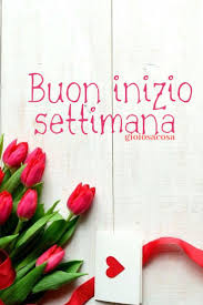 Lunedi Inizio Settimana Buona Giornata Buongiorno Fiori Tulipani Rosso Come L Amore Energia Sole Vigore Vitalita Gioios Buongiorno Fiori Buongiorno Buona Notte
