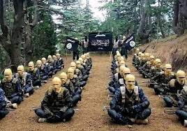 A branch of the islamic state based in northeast nigeria. Iswap Boko Haram Appoints New Governor Of Lake Chad