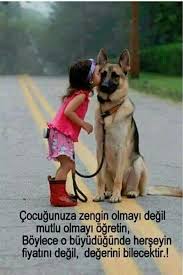 Paylasin Butun Dunya Bu Gercegi Ogrensin Hayirli Aksamlar Mutlu Yarinlar Evcil Hayvanlar Hayvan Kedi Kopek