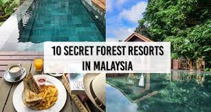 Apa yang best sangat di the dusun di negeri sembilan ini sehingga ia menjadi viral? 10 Secret Forest Resorts In Malaysia For A Relaxing Getaway
