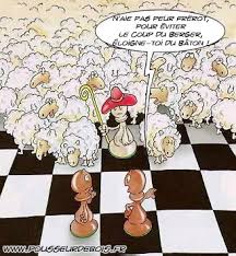 Le Coup Du Berger