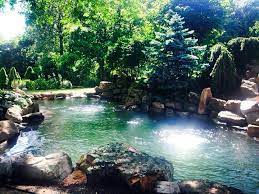 Healing Koi Pond Japanese Gardens Balinese Buddha Designed By Zen Living By Design 2014 Photograhy Japanese Water Gardens Healing Garden Living Water