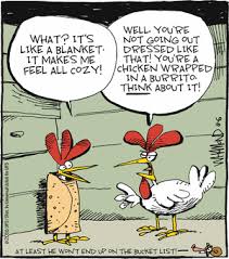 Pin On Food Funnies While chicken cooks, mix together refried beans, 16 oz. pin on food funnies