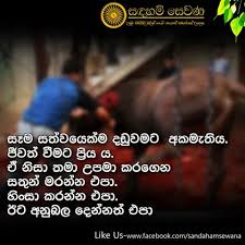 Maybe you would like to learn more about one of these? à¶ºà¶® à¶» à¶®à¶º à¶¯à¶š à¶¸ Photos Facebook