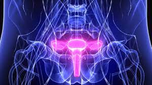 Inflamacao No Ovario Causas E Consequencias Nace